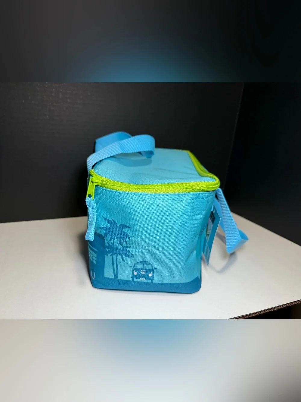 Trader‎ Joe's Aqua Insulated Lunch Bag with Lime Zipper
